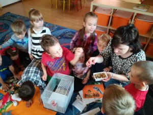 IMG_20171004_102546